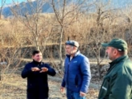 Конкурс «Лучший обрезчик сада» состоится в Гумбетовском районе