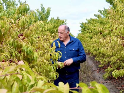 Премьер-министр РД поздравил работников сельского хозяйства с профессиональным праздником