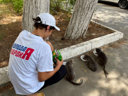 В Избербаше молодогвардейцы провели акцию «Хвостики»
