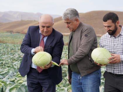 День овощного поля прошел в Левашинском районе