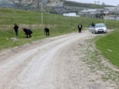 Аргванинская школа присоединилась к акции «Марафон зеленых дел»