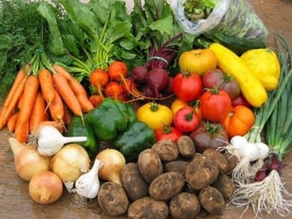 Господдержка ЛПХ