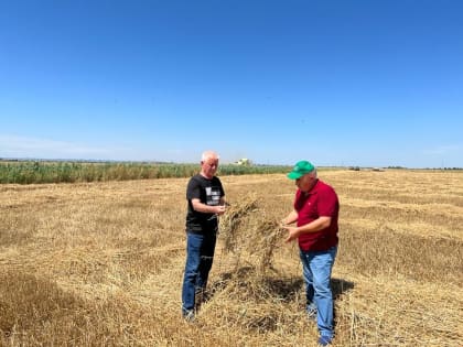 Аграрии Дагестана приступили к уборке озимых зерновых культур