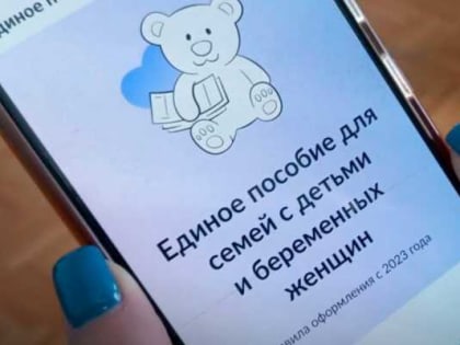 Около 450 тысяч дагестанских семей претендуют на единое пособие