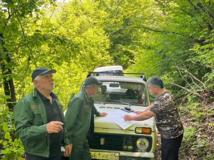 В Дагестане увеличили кратность патрулирования лесов в связи с потоком туристов