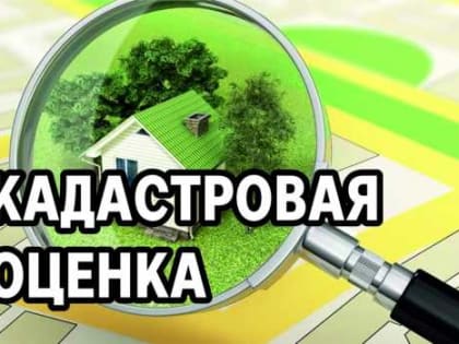 В Дагестане приступили к проведению государственной кадастровой оценки