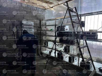Властям Дагестана поручено активнее бороться с незаконным майнингом и энерговоровством