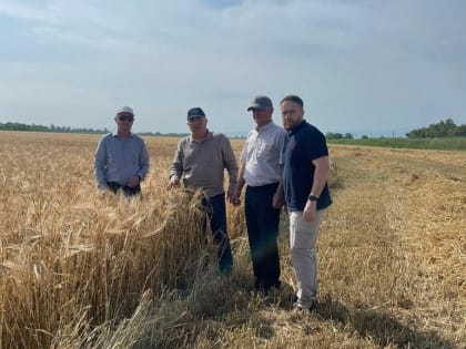 В Дагестане в числе первых в стране началась уборка зерновых культур