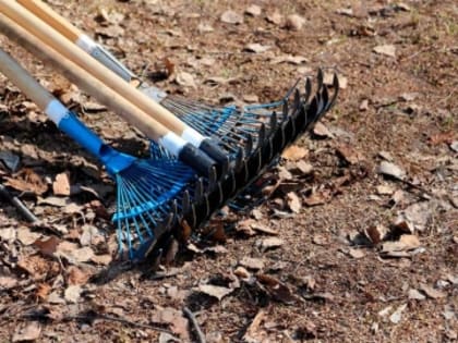 В Цунтинском районе пройдет общерайонный субботник