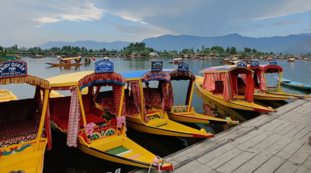 Shikara rides-1