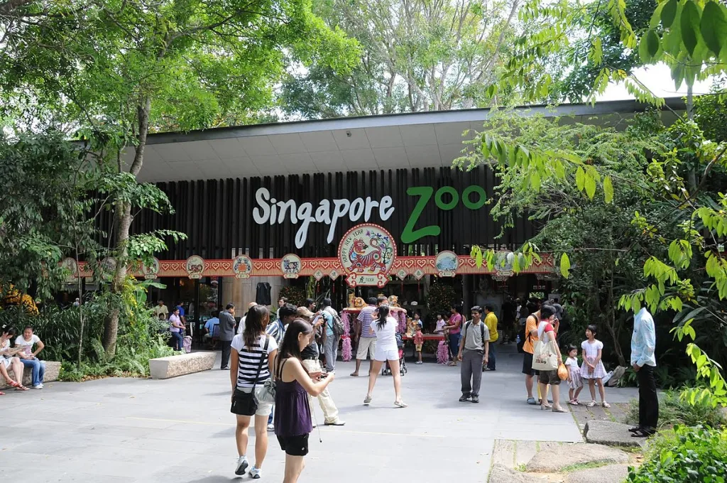Singapore Zoo-2