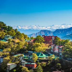 Shimla Tour