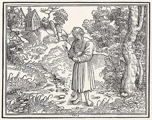 Hl. Fergus, Einsiedler und Bischof (katholisch)