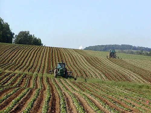 Agricola et Agricole ;