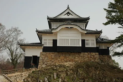 備中たかはし松山踊り（ 日本）