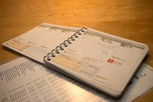 閏日（2月29日）は"希少"であるため、この日を記念して開催されている。平年では2月28日に開催される。
