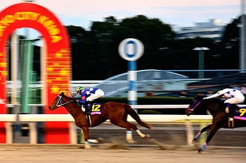 東京2歳優駿牝馬(年末最後の競馬重賞)