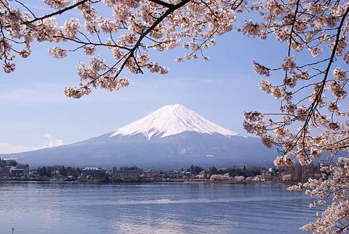 山梨県民の日( 日本 山梨県)