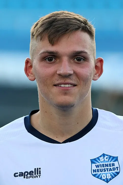 Damir Mehmedovic