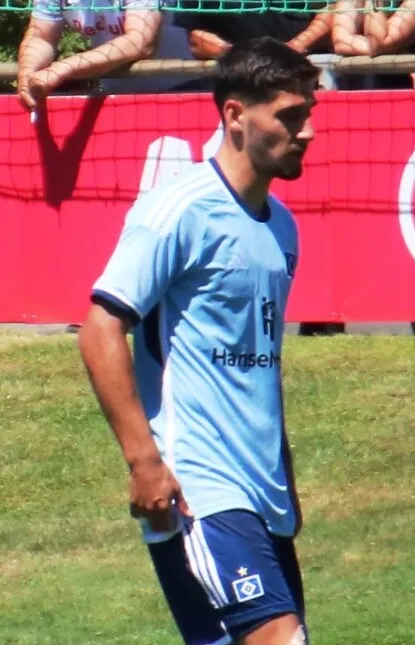 Ludovit Reis