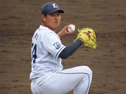 佐野泰雄
