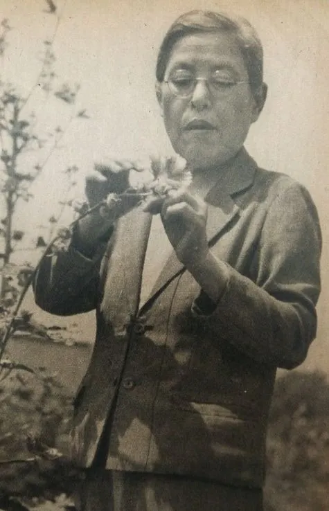 保井コノ