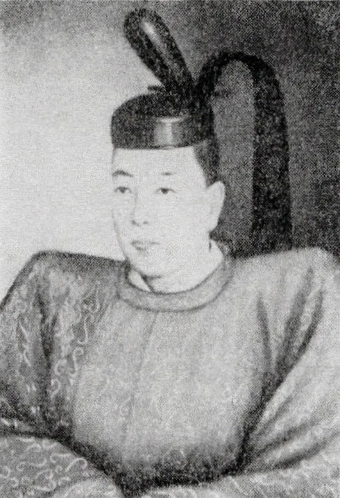 内藤政苗