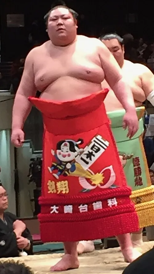 剣翔桃太郎