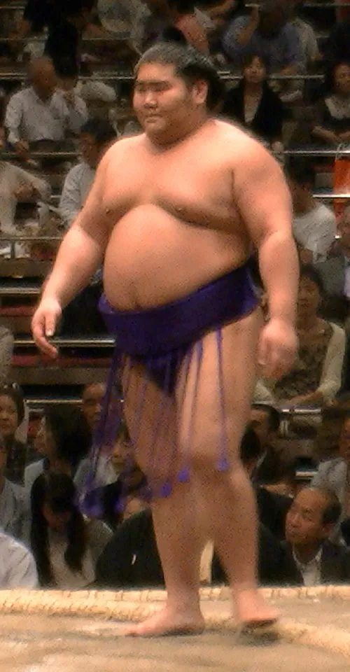 千代ノ皇王代仁