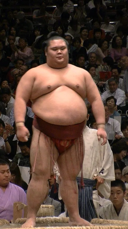 千代丸一樹
