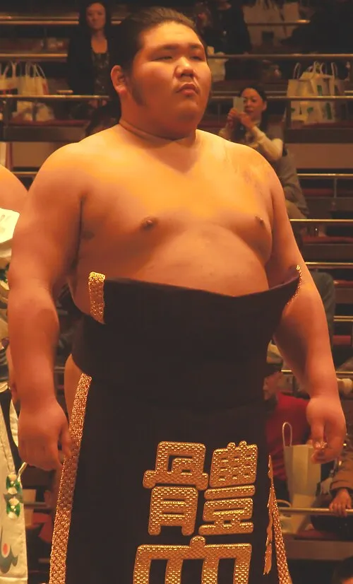 千代大龍秀政