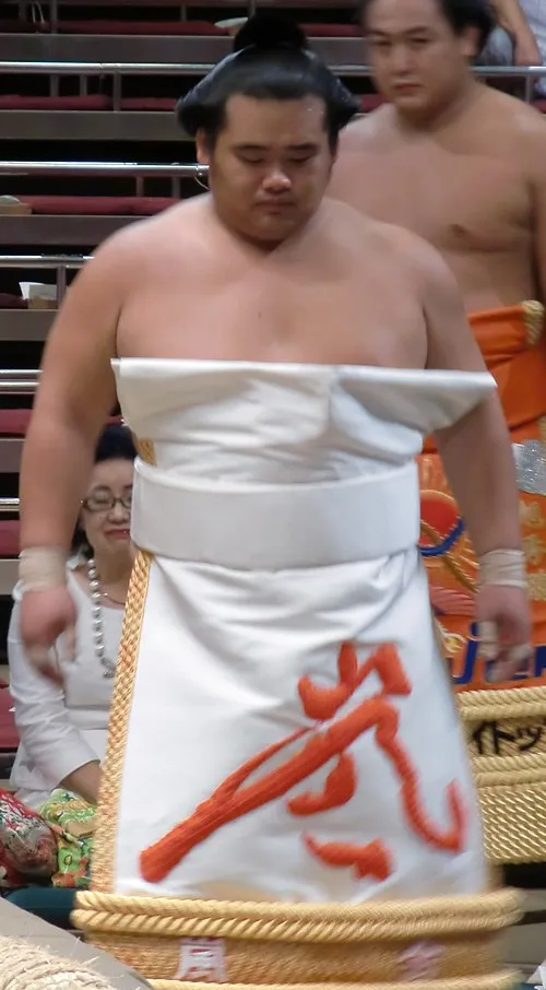 千代嵐慶喜