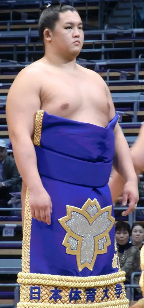 千代桜右京