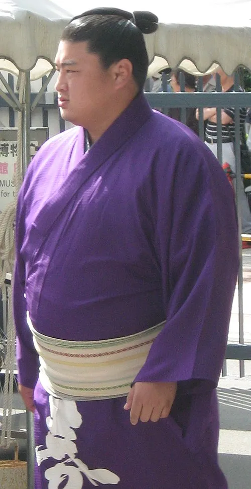 嘉風雅継