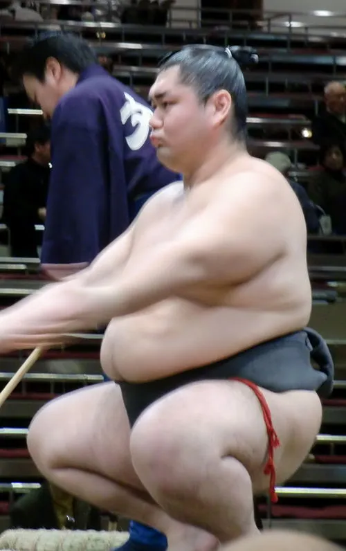 大真鶴健司