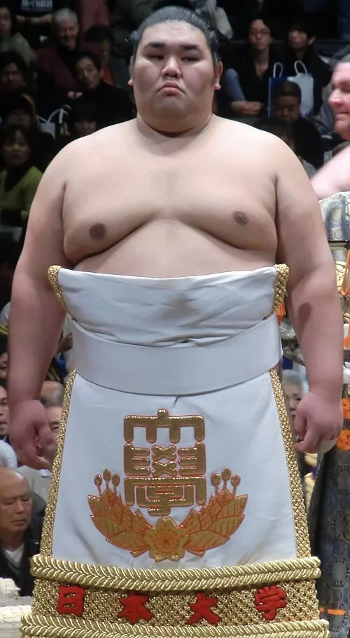 天鎧鵬貴由輝