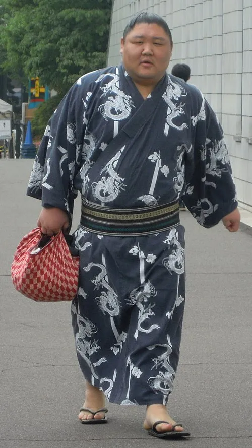 栃飛龍幸也