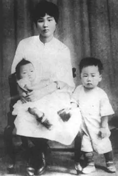 楊開慧