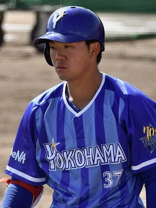 楠本泰史