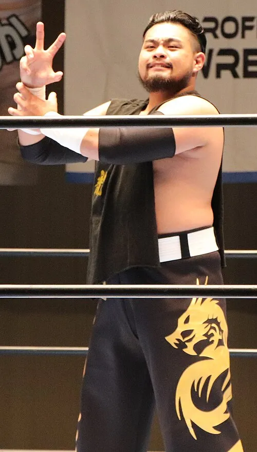 武蔵龍也