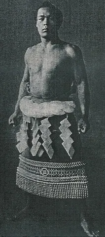 武藏山武