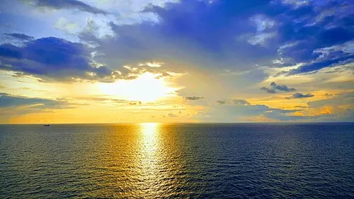 海