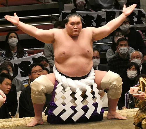 照ノ富士春雄