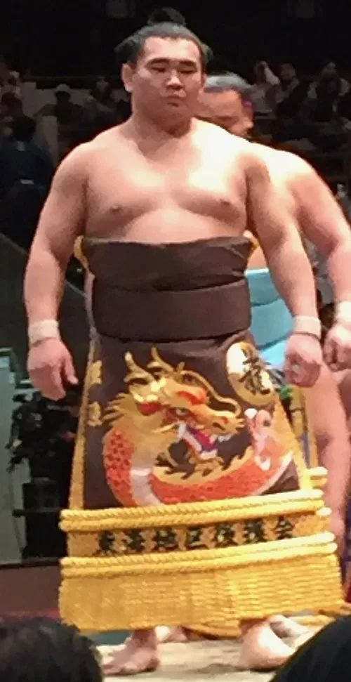 照強翔輝