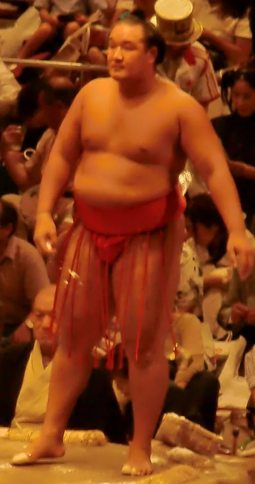 猛虎浪栄