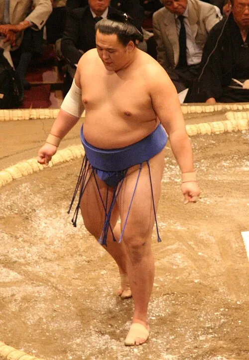 玉鷲一朗
