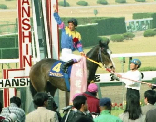 田原成貴