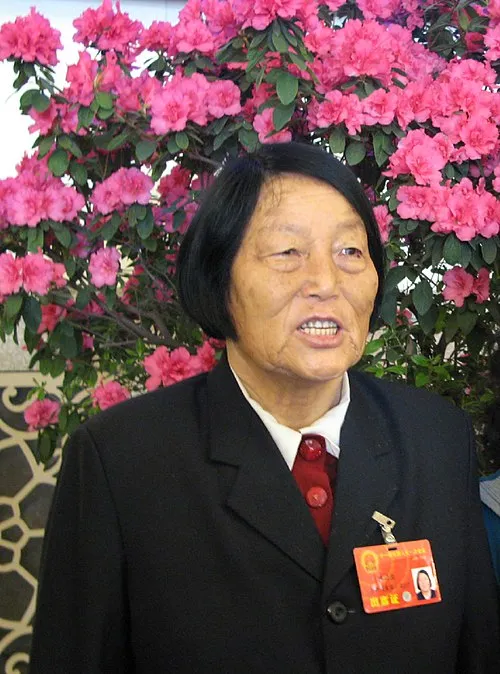 申紀蘭