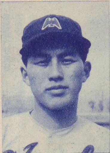 皆川睦雄