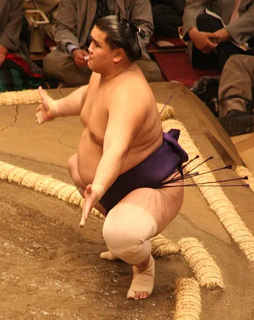 翔天狼大士